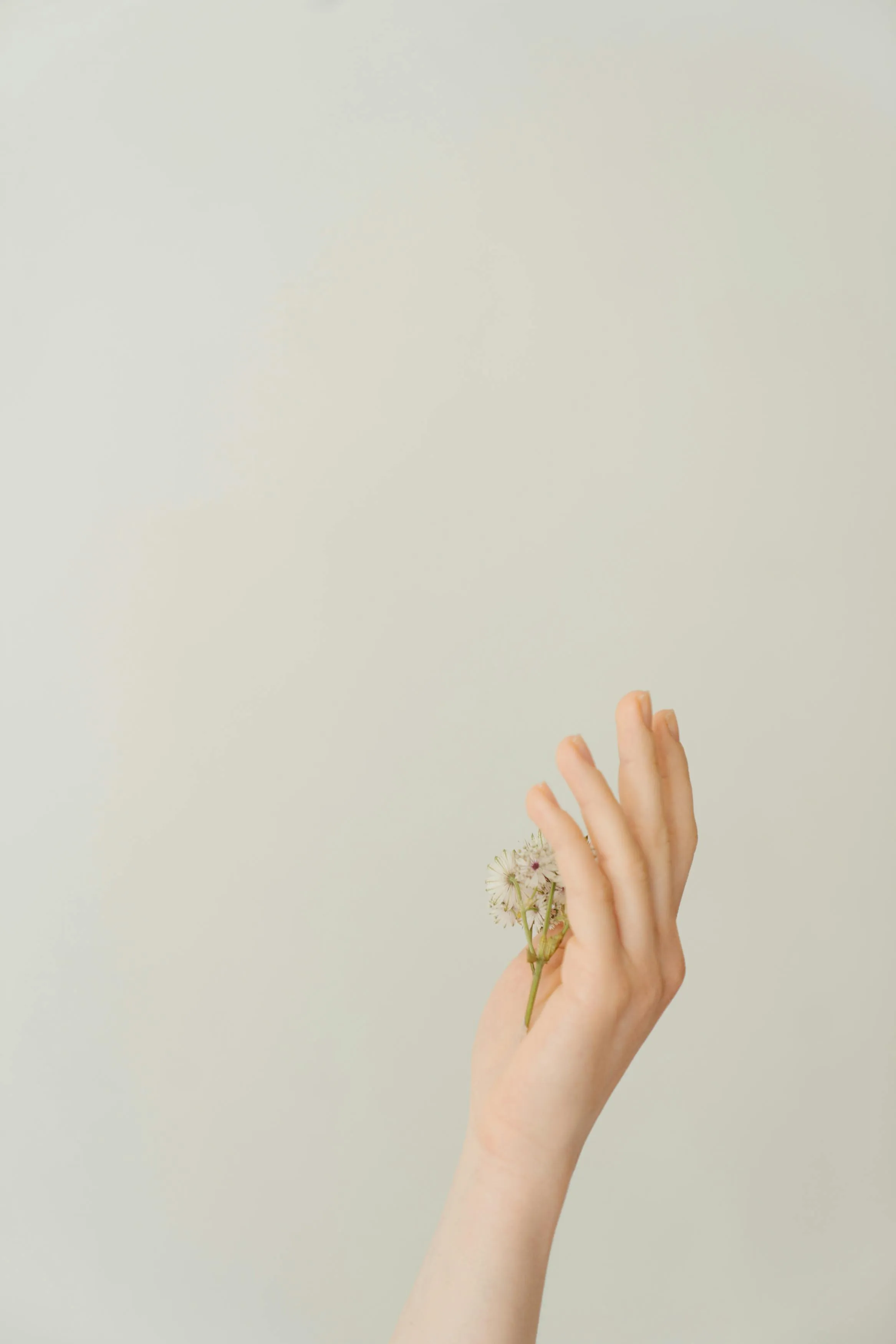 Dra. Cristina Herrera